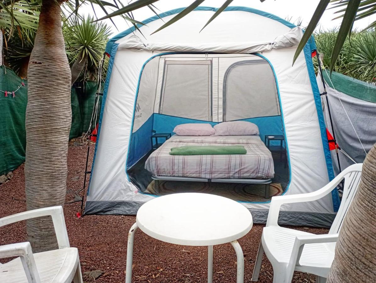 Camping Invernaderito Tejina Ngoại thất bức ảnh