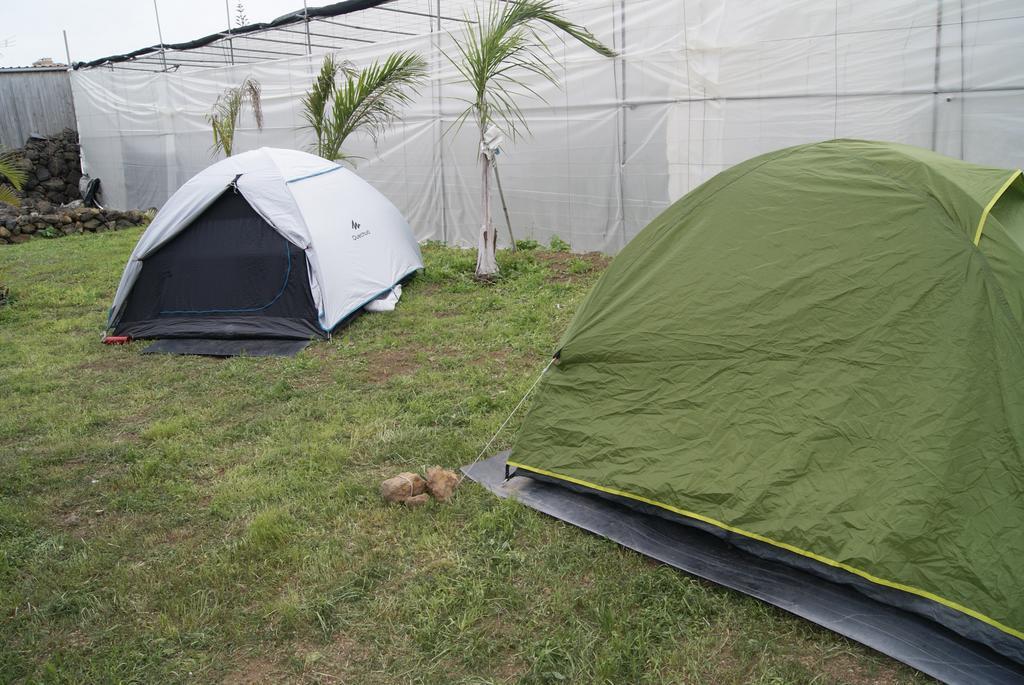 Camping Invernaderito Tejina Ngoại thất bức ảnh